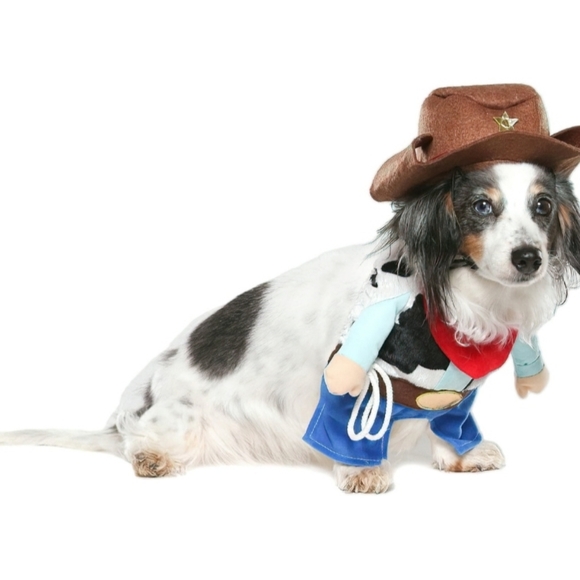 NEW Cowboy Costume Pet Size Medium Dog & Cat (20-50 lbs) Halloween Vibrant Life - Picture 2 of 9
